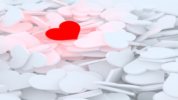 未経験でも安心！介護職を身近に感じられる働き方とやりがい